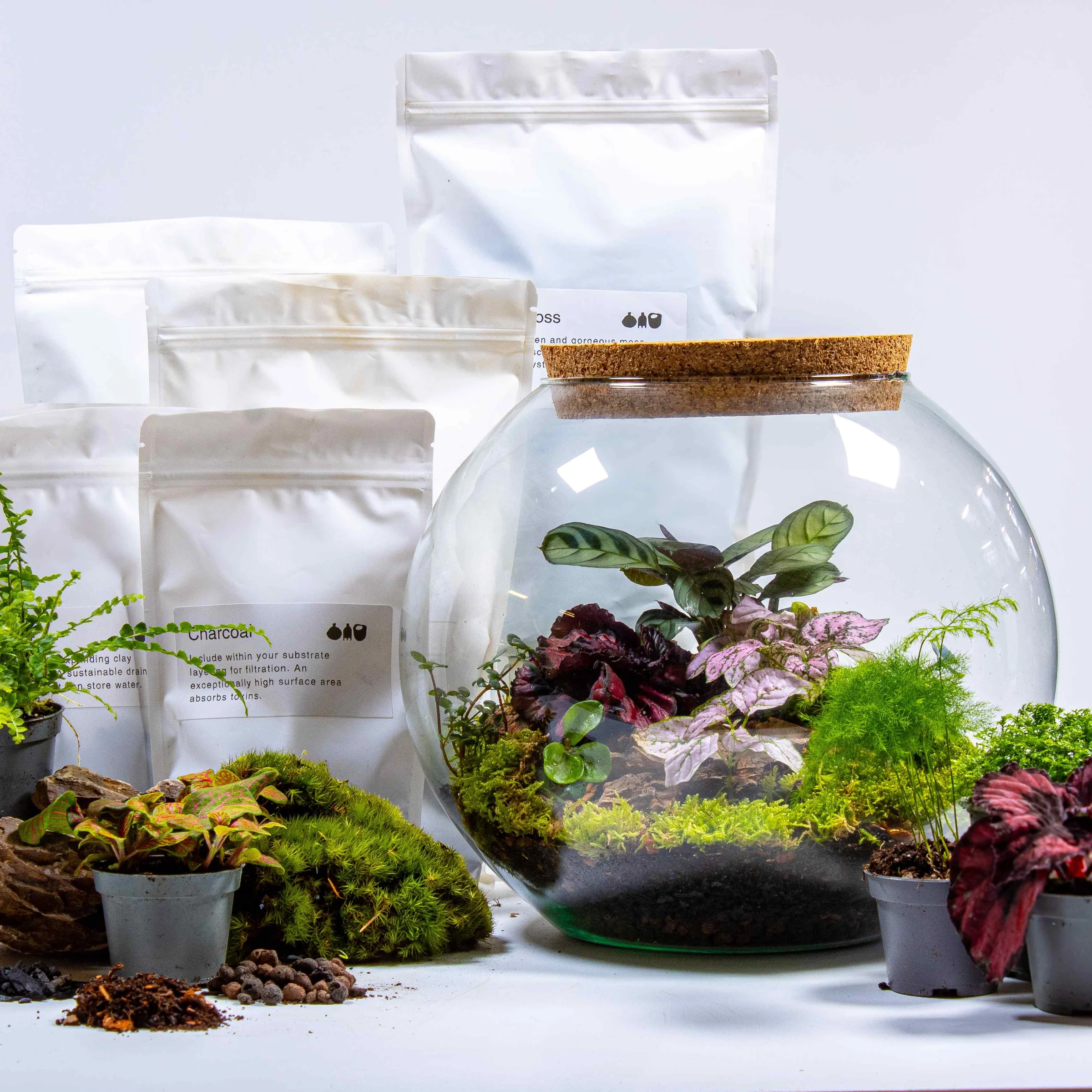 Bring the Outdoors Inside